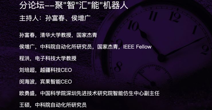大黄峰vs蝎子视频直播，Golang视角下的自然博弈与实时技术解析