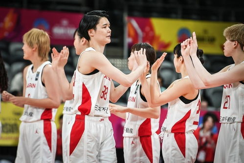 散打日本vs中国视频直播，热血赛场上的真实较量