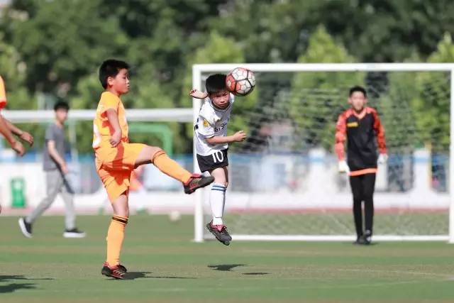 2026年世界足球杯，梦想与激情的交汇