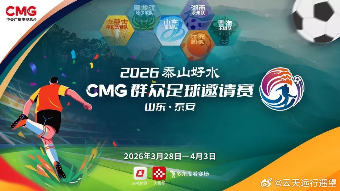 主场vs泰山传奇视频直播，一场足球迷的狂欢与记忆