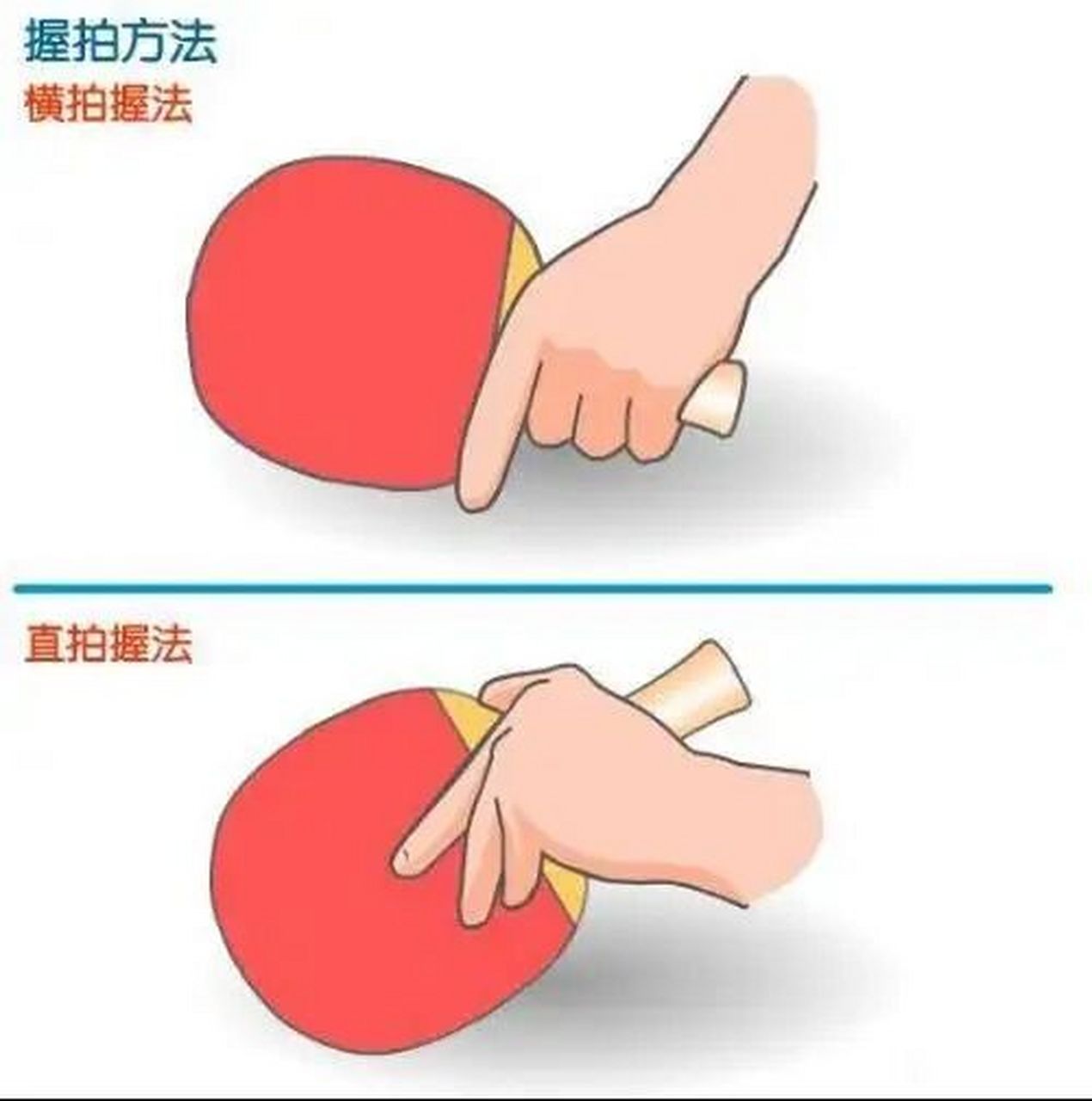 乒乓球拍握法，探索两种基本方式的奥秘