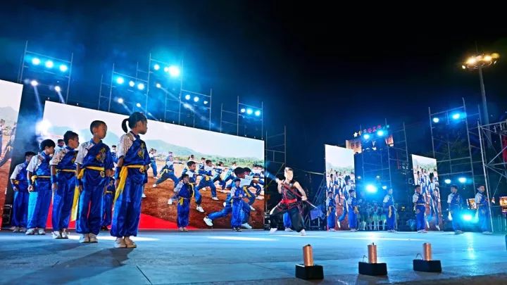 中国vs日本武术视频直播，当传统技艺遇上数字浪潮